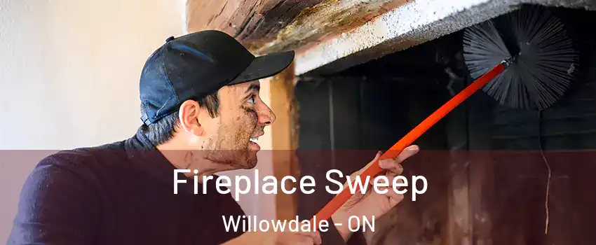  Fireplace Sweep Willowdale - ON
