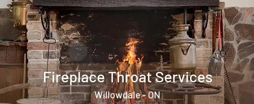  Fireplace Throat Services Willowdale - ON
