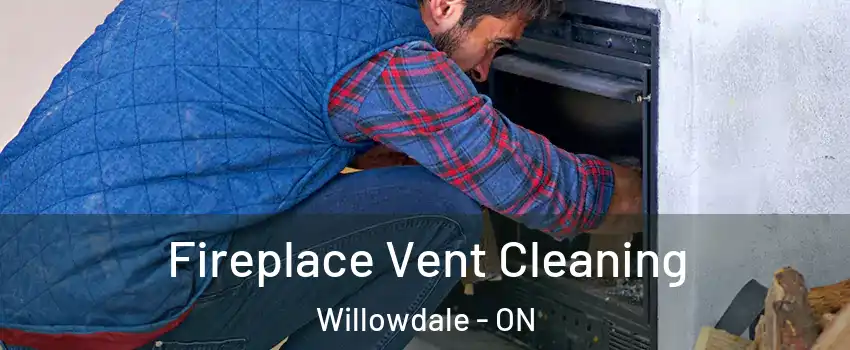  Fireplace Vent Cleaning Willowdale - ON