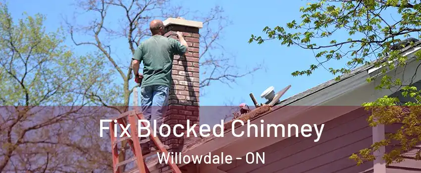  Fix Blocked Chimney Willowdale - ON