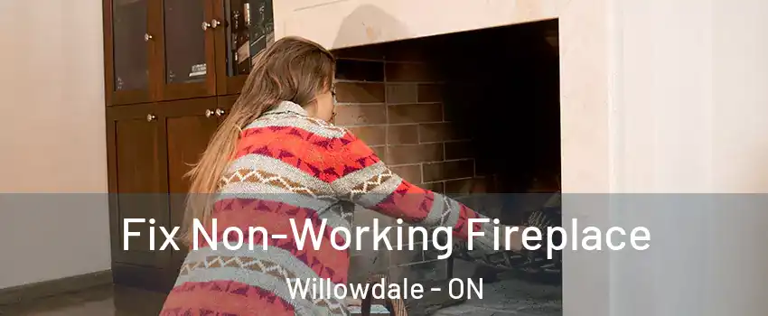  Fix Non-Working Fireplace Willowdale - ON