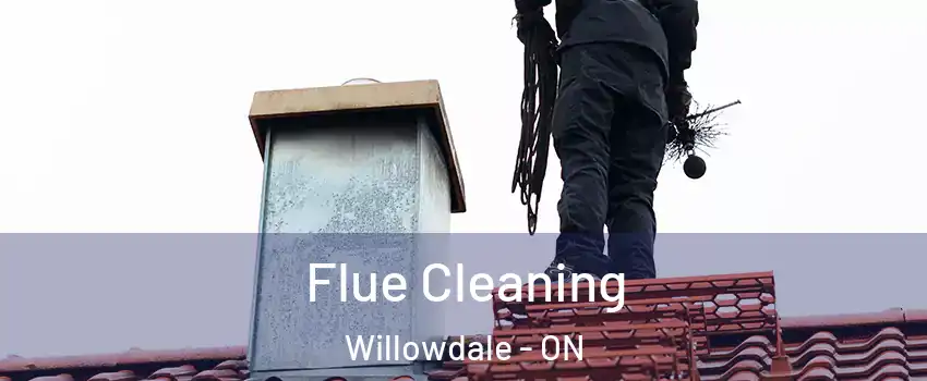  Flue Cleaning Willowdale - ON