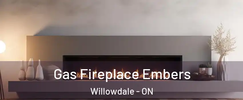  Gas Fireplace Embers Willowdale - ON