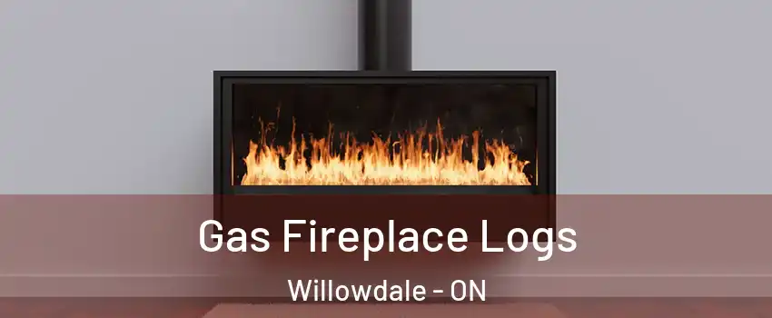  Gas Fireplace Logs Willowdale - ON
