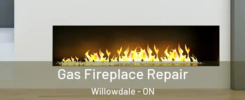  Gas Fireplace Repair Willowdale - ON