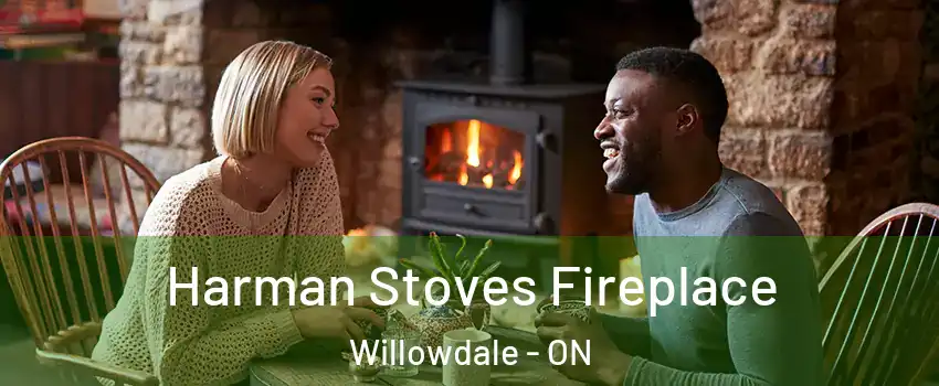  Harman Stoves Fireplace Willowdale - ON