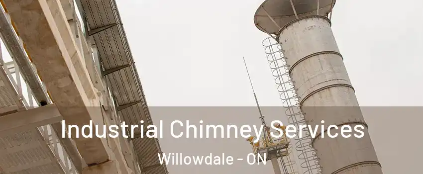 Industrial Chimney Services Willowdale - ON
