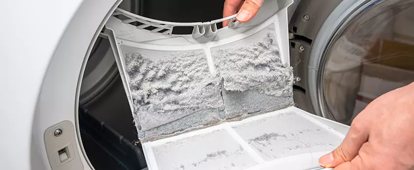 Best Dryer Lint Removal Company in Willowdale, Ontario