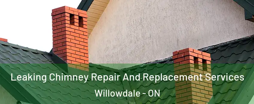  Leaking Chimney Repair And Replacement Services Willowdale - ON