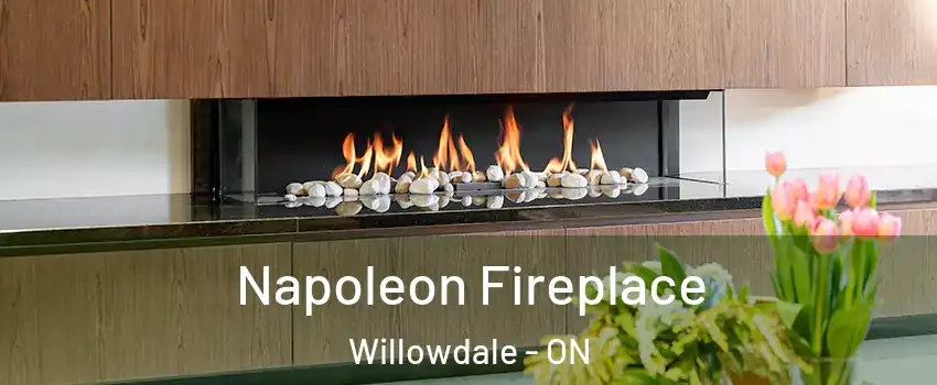  Napoleon Fireplace Willowdale - ON