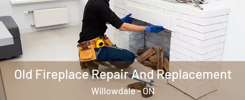  Old Fireplace Repair And Replacement Willowdale - ON