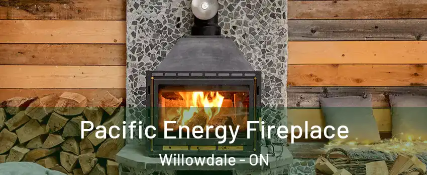  Pacific Energy Fireplace Willowdale - ON