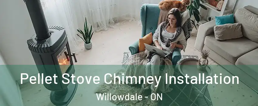  Pellet Stove Chimney Installation Willowdale - ON