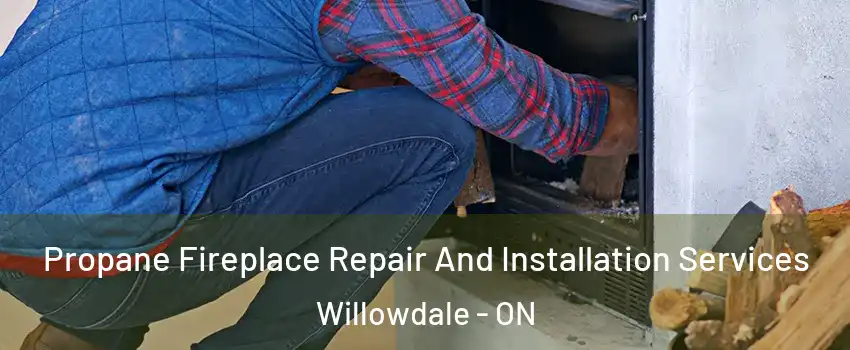  Propane Fireplace Repair And Installation Services Willowdale - ON