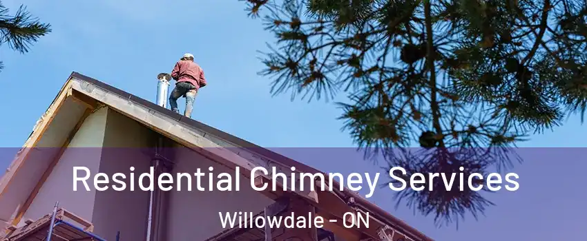  Residential Chimney Services Willowdale - ON