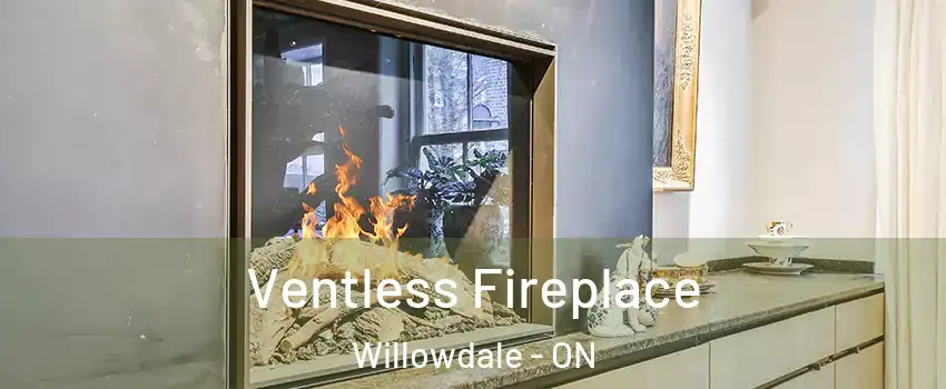 Ventless Fireplace Willowdale - ON