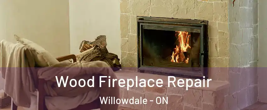  Wood Fireplace Repair Willowdale - ON