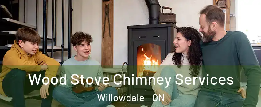  Wood Stove Chimney Services Willowdale - ON