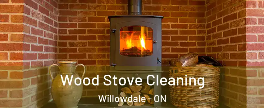 Wood Stove Cleaning Willowdale - ON